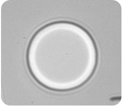 VCSEL Oxidation in a Aloxtec's ALOX 1.4 - step 1