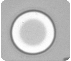 VCSEL Oxidation in a Aloxtec's ALOX 1.4 - step 2