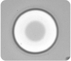 VCSEL Oxidation in a Aloxtec's ALOX 1.4 - step 3