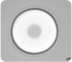 VCSEL Oxidation in a Aloxtec's ALOX 1.4 - step 4